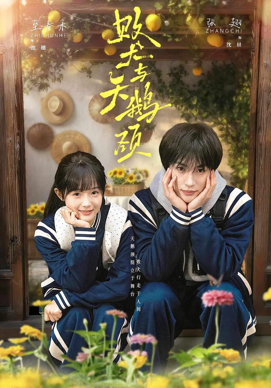 《败犬与天鹅颈》真人短剧封面